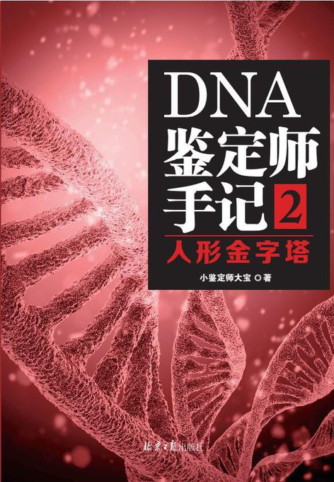 DNA鉴定师手记-2-人形金字塔